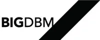 BigDBM